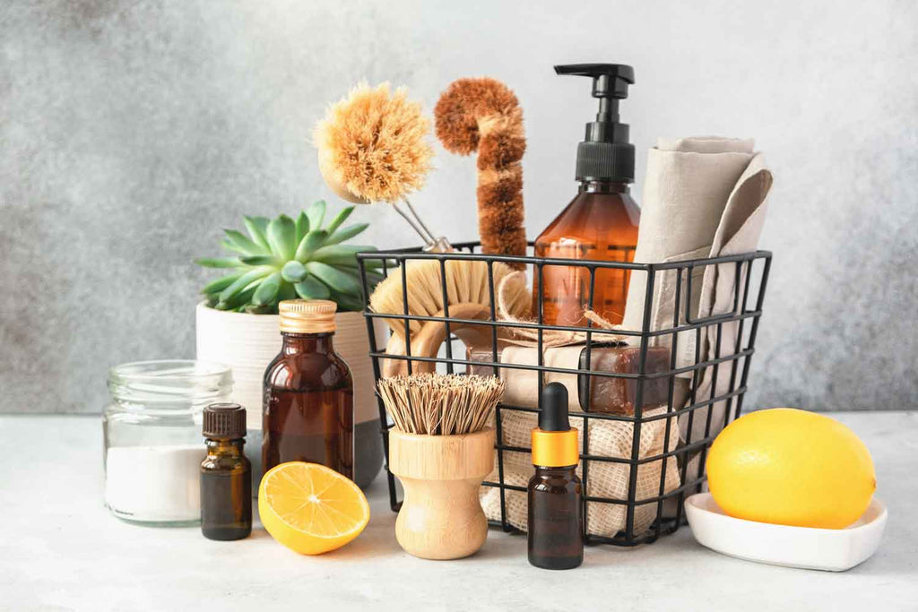 10 Proven Strategies to Minimize Everyday Toxin Exposure in Your Home